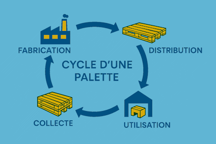 Cycle d'une palette Europe