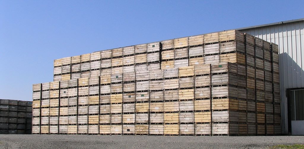 Pallets boxes